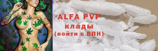 стаф Нефтегорск