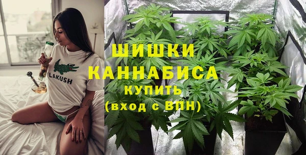 стаф Нефтегорск