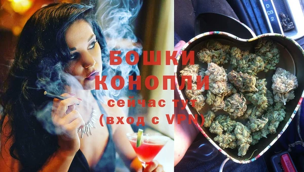 дурь Бежецк