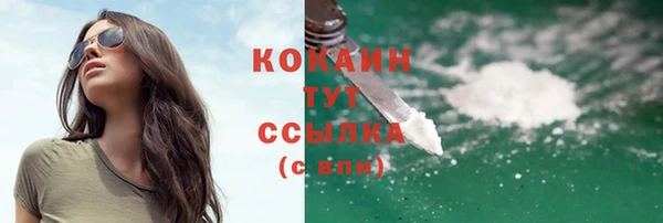 твердый Белая Холуница
