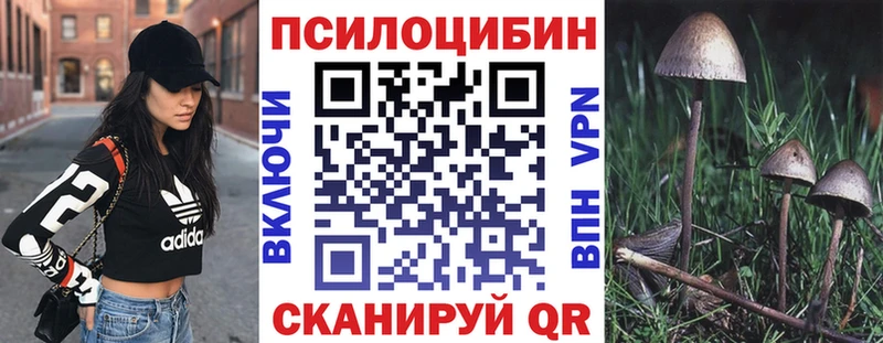 Галлюциногенные грибы Cubensis хочу наркоту Ртищево