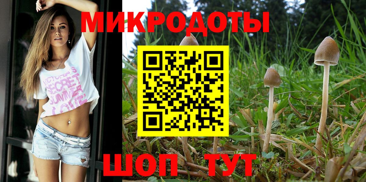 Галлюциногенные грибы GOLDEN TEACHER  Вход с VPN  продажа наркотиков  Ртищево 