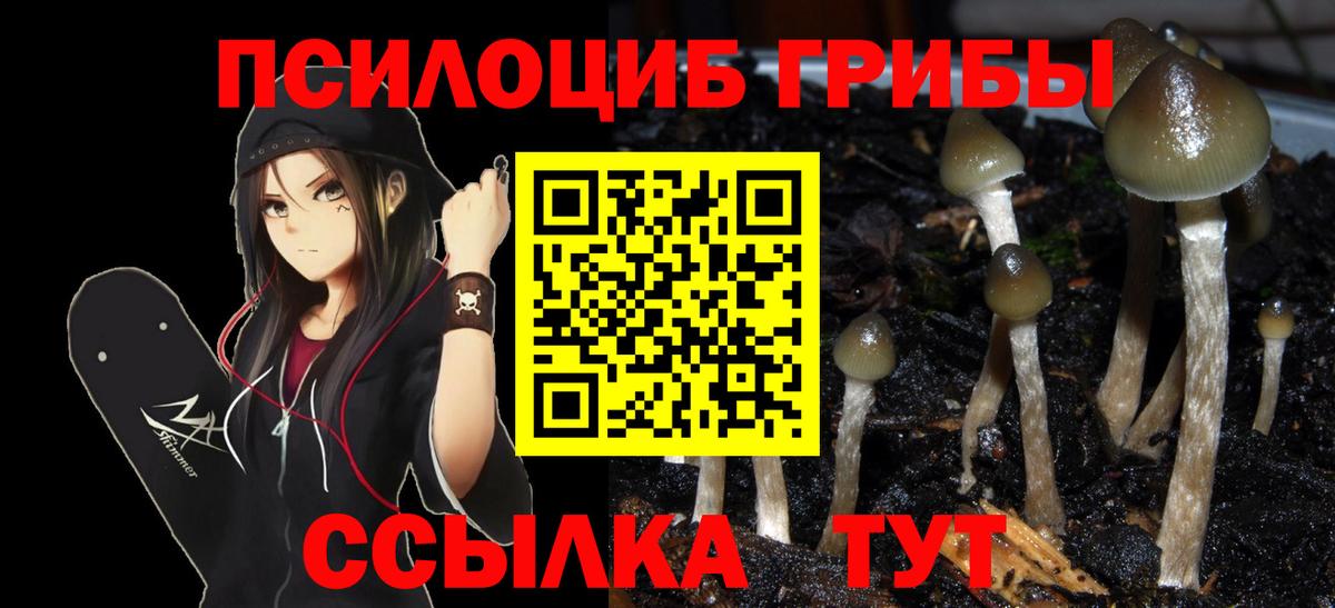 Псилоцибиновые грибы прущие грибы Ртищево